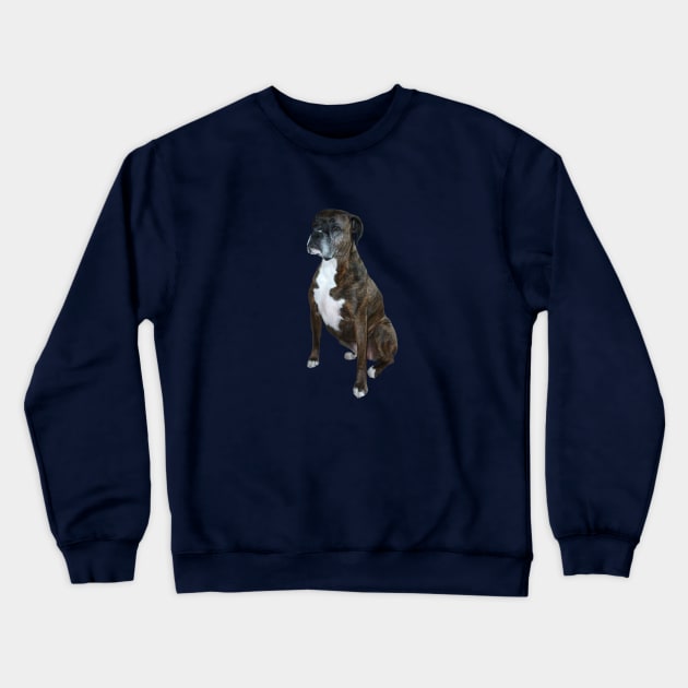 A Handsome Brindle Boxer - Just the Dog Crewneck Sweatshirt by Dogs Galore and More